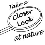 Closer Look at Nature 